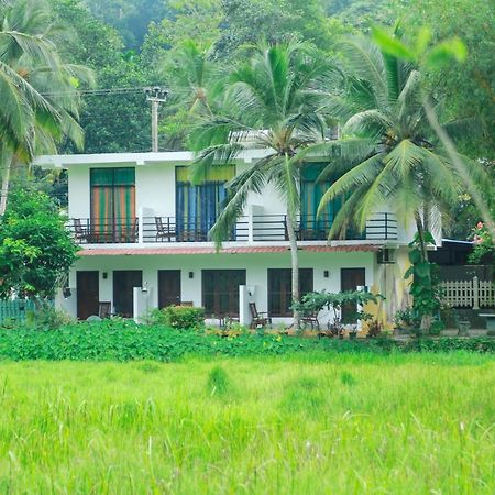 Paddy Field View Resort Mirissa Exterior photo