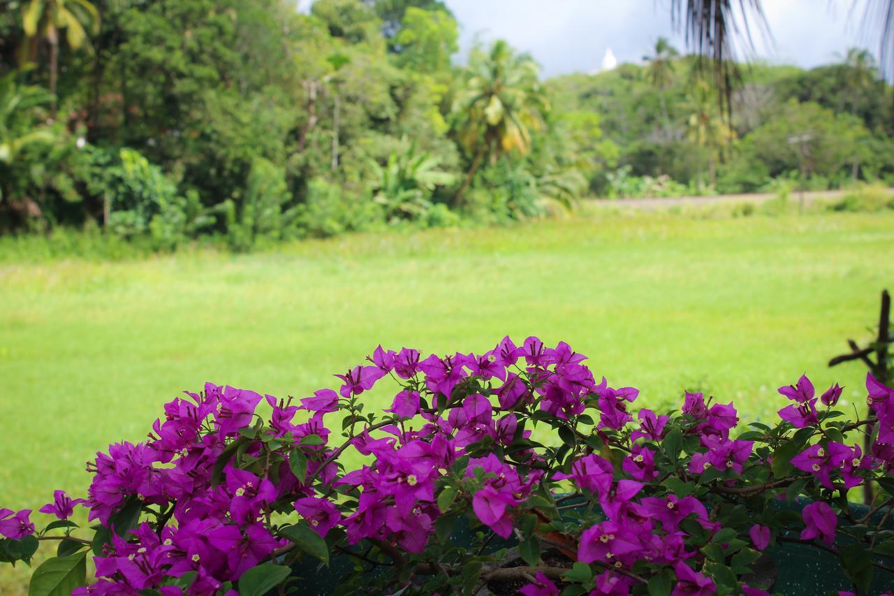 Paddy Field View Resort Mirissa Exterior photo