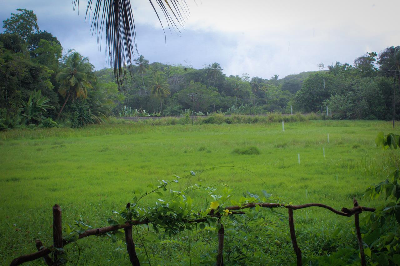 Paddy Field View Resort Mirissa Exterior photo