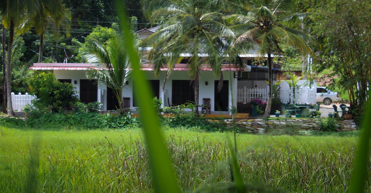 Paddy Field View Resort Mirissa Exterior photo