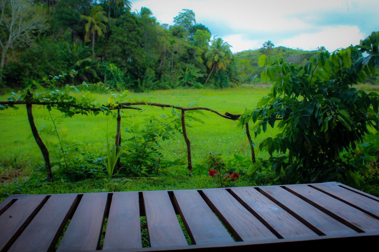 Paddy Field View Resort Mirissa Exterior photo