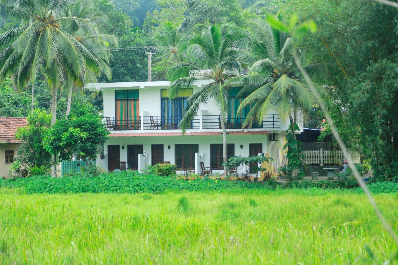 Paddy Field View Resort Mirissa Exterior photo